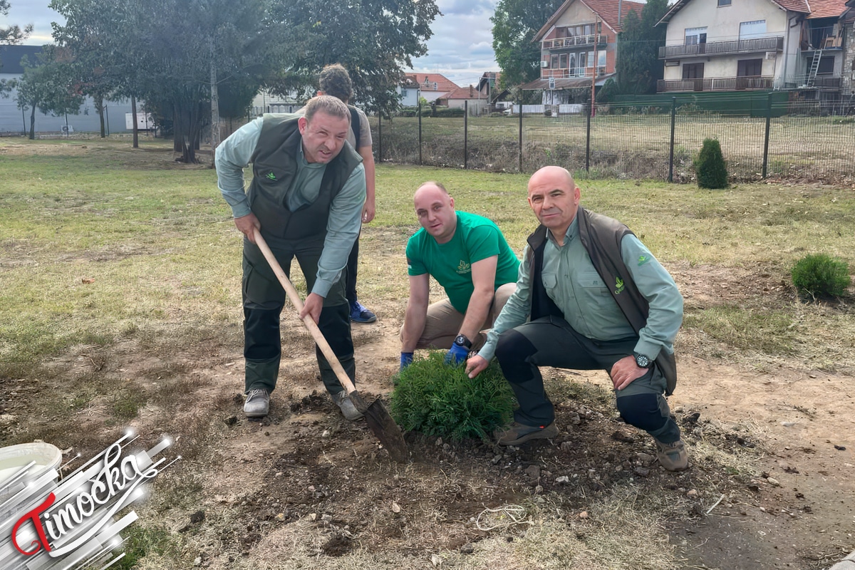 „Србијашуме” обележиле 34 године радном акцијом у Зајечару и попустима на огрев за угрожене