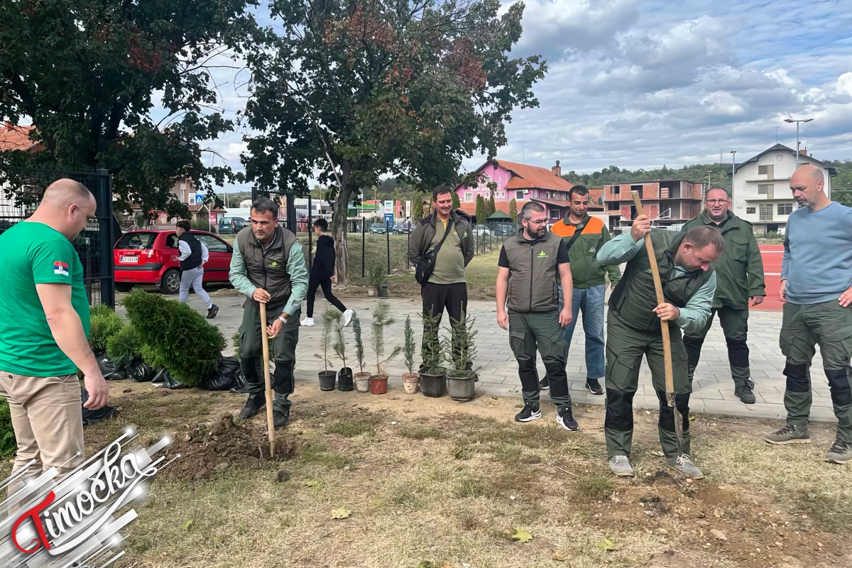 „Србијашуме” обележиле 34 године радном акцијом у Зајечару и попустима на огрев за угрожене