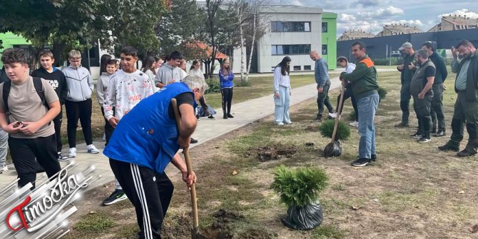 „Србијашуме” обележиле 34 године радном акцијом у Зајечару и попустима на огрев за угрожене