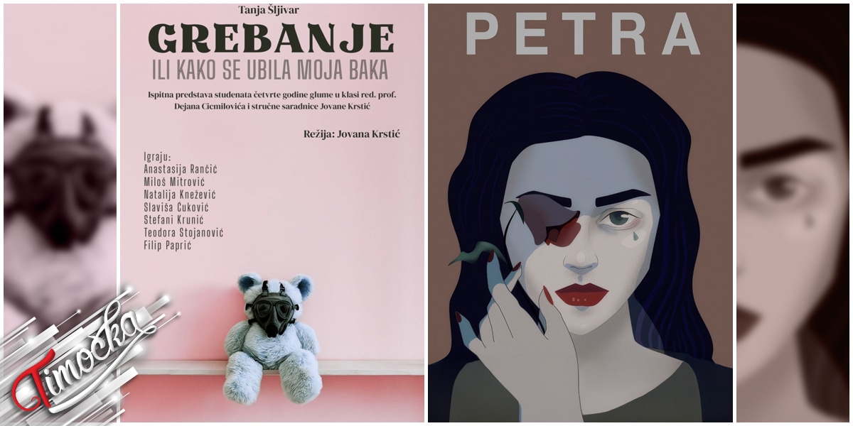 Студентске представе у оквиру пратећег програма 34. „Зоранових дана”