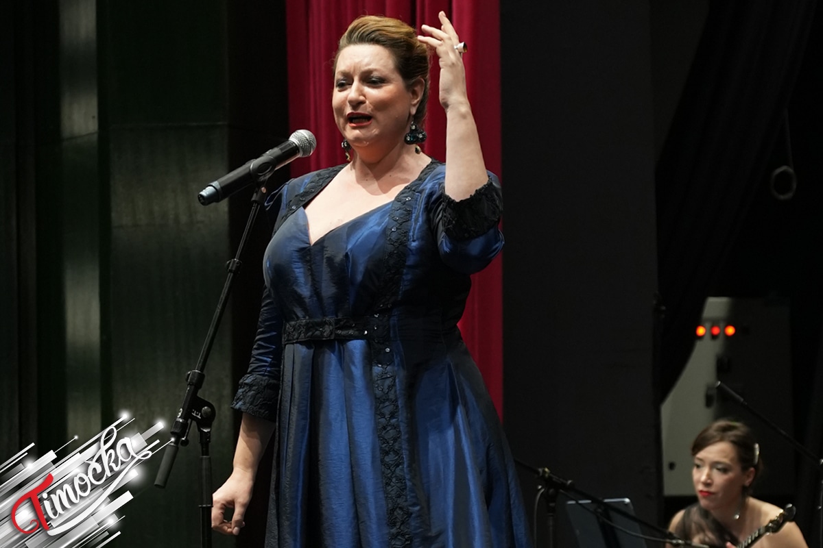 Кладово у знаку културног јединства: Концерт „На језику музике” окупио уметнике из Русије и Србије