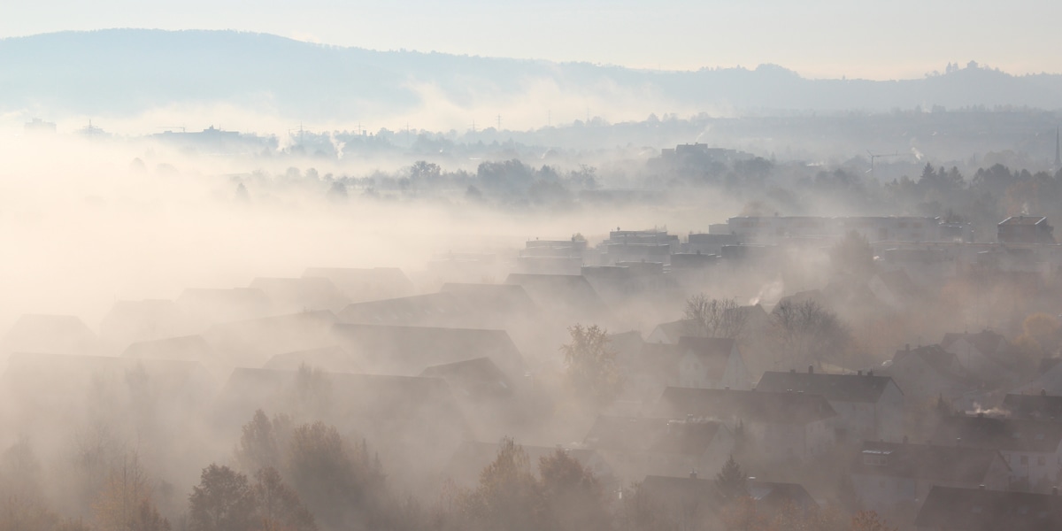 Јесен, магла