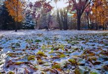 Хладнији дан у Србији: Снег ствара покривач, температура до 5 степени Јесење лишће, снег