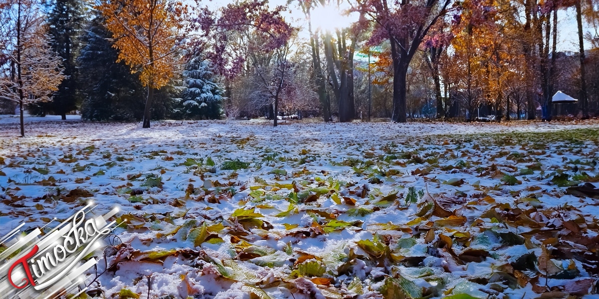 Јесење лишће, снег