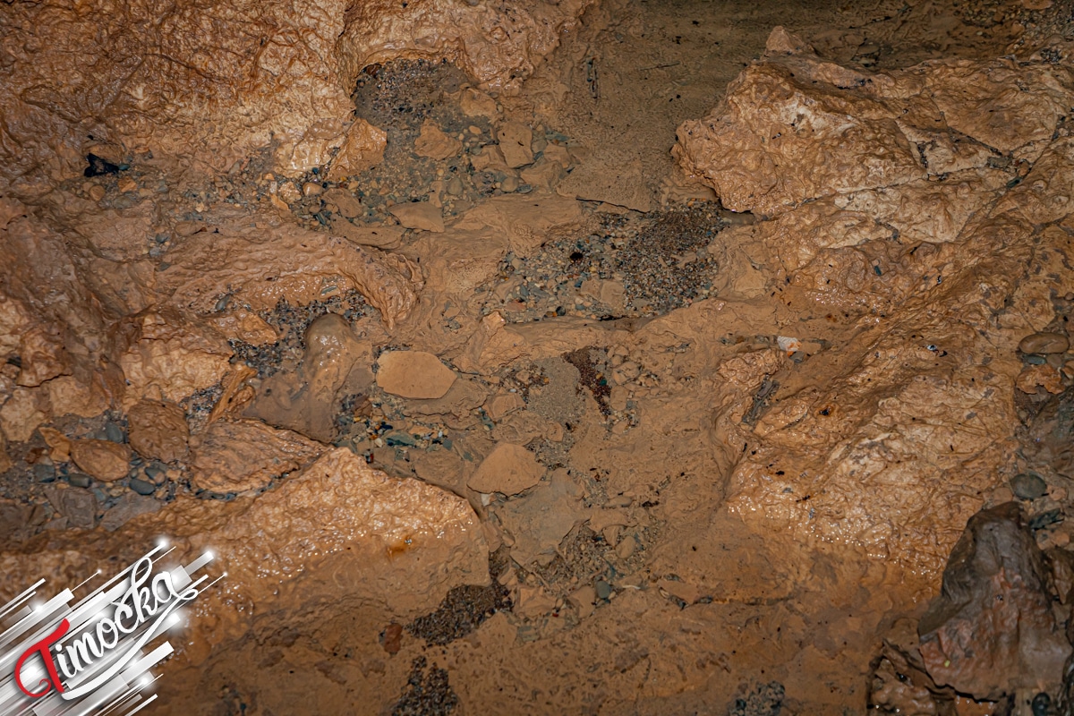 У срцу подземног царства – Боговинска пећина