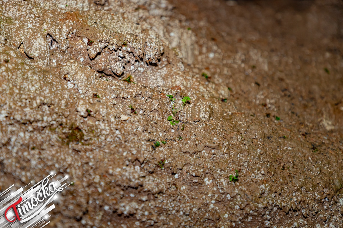 У срцу подземног царства – Боговинска пећина