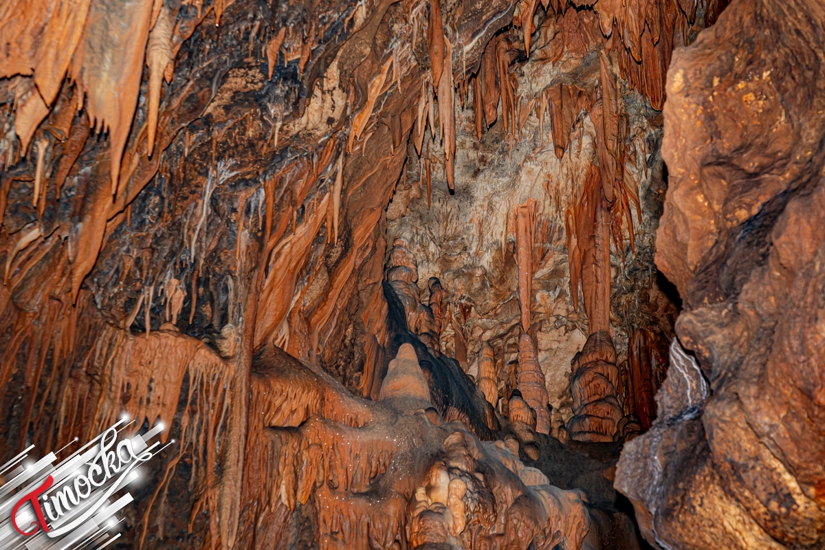 У срцу подземног царства – Боговинска пећина