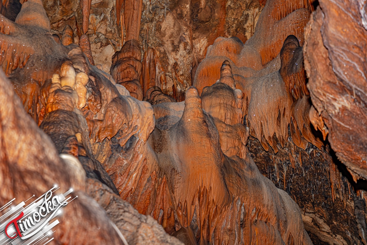 У срцу подземног царства – Боговинска пећина