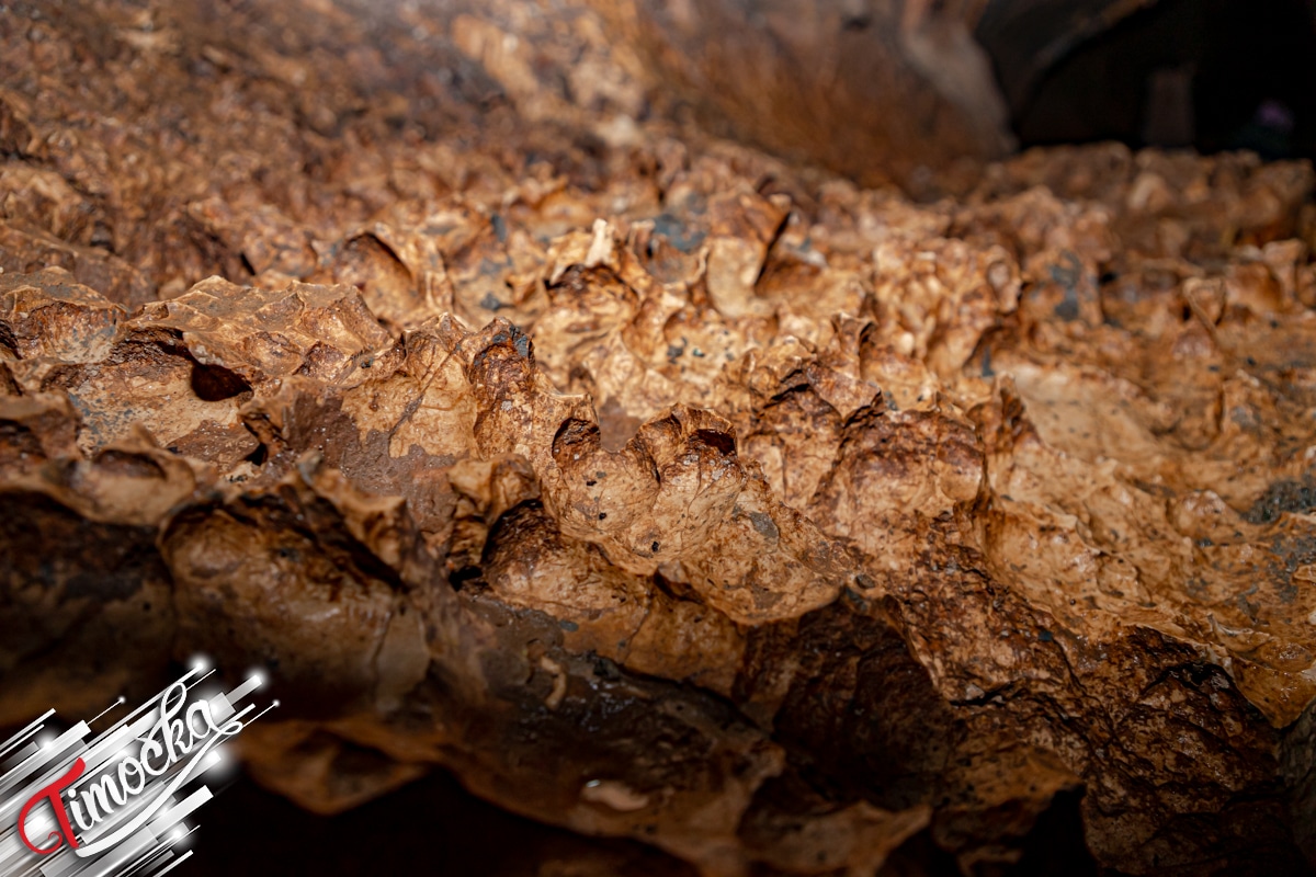 У срцу подземног царства – Боговинска пећина