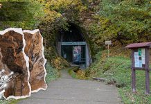 „Бољевац на длану”: У срцу подземног царства – Боговинска пећина (ФОТО + ВИДЕО) У срцу подземног царства – Боговинска пећина