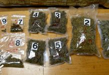 У Бору ухапшен мушкарац због сумње на трговину дрогом, против другог кривична пријава Марихуана