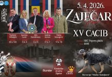 Продужен рок за пријаву за Међународну изложбу паса свих раса „CACIB Zaječar” XV Међународна изложба паса свих раса „CACIB Zaječar” 5. априла на Поповој плажи у Зајечару