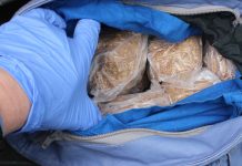 Ухапшена жена из околине Зајечара: Заплењено скоро 100 килограма резаног дувана, буџет оштећен за више од милион динара Заплена дувана