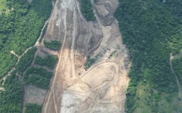 „Еко Исток”: Тужилаштво у Зајечару поступа по кривичној пријави због сумње на пустошење шуме на Малкој Голаји „Еко Исток”: Тужилаштво у Зајечару поступа по кривичној пријави због сумње на пустошење шуме на Малкој Голаји